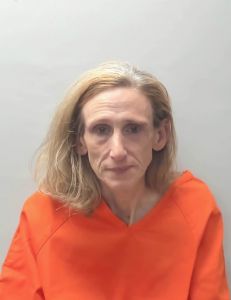 Mary Zanotti Arrest Mugshot