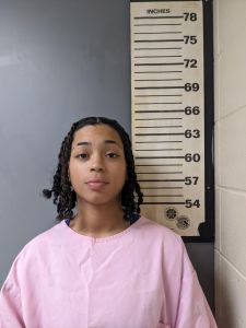 Mikayla Williams Arrest Mugshot