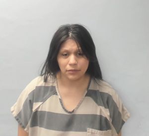 Osmayda Valdez Arrest Mugshot