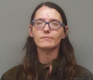 Salina Anderson Arrest Mugshot