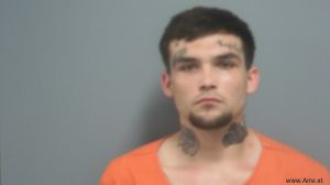 Seth Nelson Arrest Mugshot