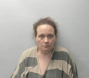 Stephanie Johnson Arrest Mugshot