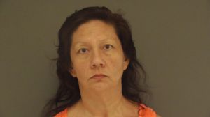 Susan Lee Arrest Mugshot