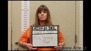 Tammy Ellis Arrest Mugshot