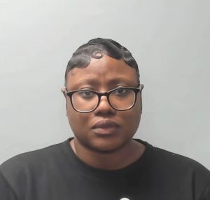 Terri Webb Arrest Mugshot