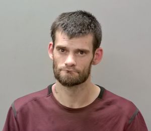 Timo Stiles Arrest Mugshot