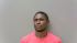 Demario Lindsey Arrest Mugshot Calhoun 8/15/24