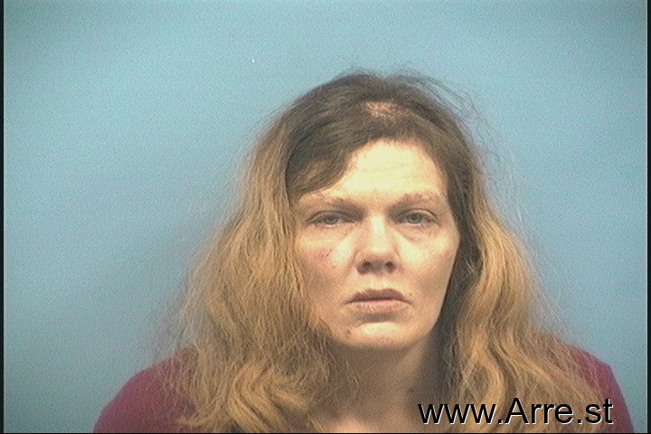Amy Horton - Shelby, Alabama 06/12/2014 Arrest Mugshot