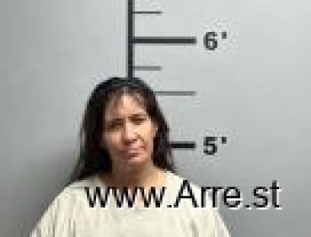 Amy Elizabeth Villanueva Mugshot