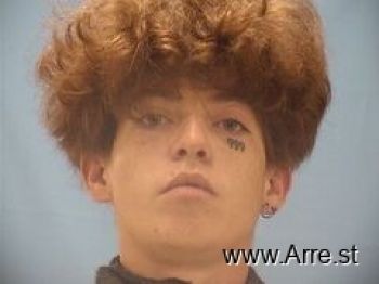 Austin  Mitchell Mugshot