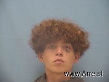 Austin  Mitchell Mugshot