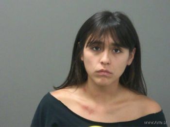 Aide  Gonzalez Mugshot