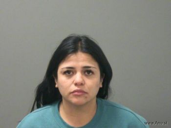 Alejandra  Dozal-gonzalez Mugshot