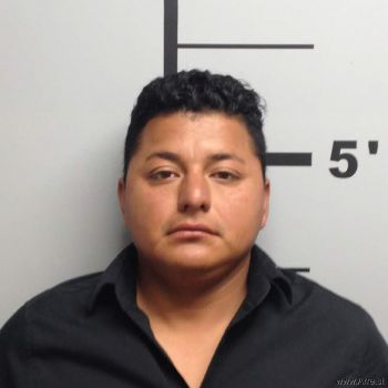 Alexander  Flores Mugshot