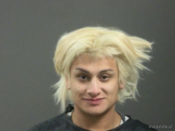 Alexis  Fernandez-salgado Mugshot