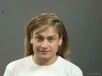 Alexis  Fernandez-salgado Mugshot