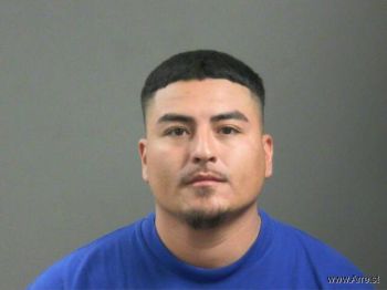 Alexis  Gonzalez-martinez Mugshot