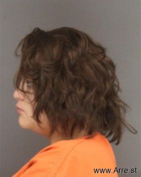 Alison Marie Drywater Mugshot