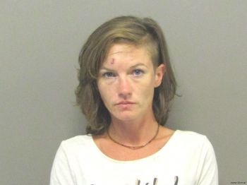 Alyssa Joann Windstein Mugshot