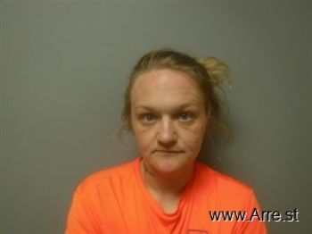 Amanda Lee Bolin Mugshot