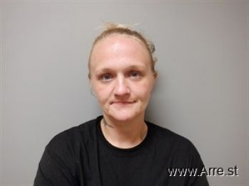 Amanda Lee Bolin Mugshot