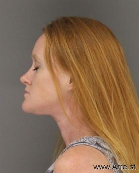 Amanda Lee Frazier Mugshot