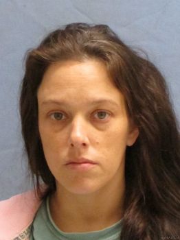 Amanda  Hoover Mugshot