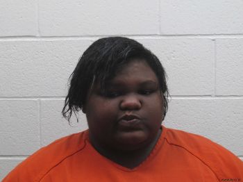 Amanda Michele Spears Mugshot