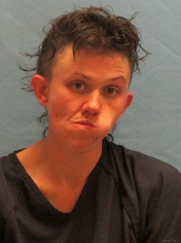 Amanda  Woods Mugshot