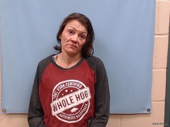 Amy Nicole Ray Mugshot