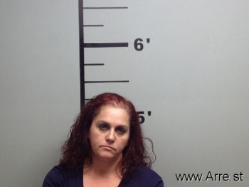 Amy Lee Williams Mugshot