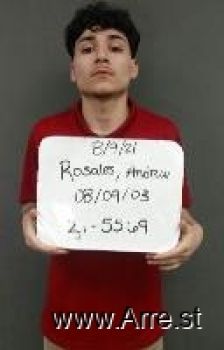 Andrew Joseph Rosales Mugshot