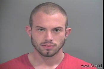 Andrew  Stevens Mugshot