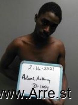 Anthony Xavier Adams Mugshot