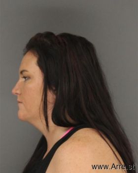 Ashley Nickole Chisolm Mugshot