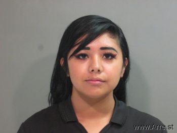 Ashley  Elmore Mugshot