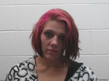 Ashley Nicole Garner Mugshot