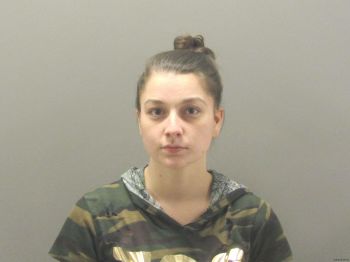 Ashley Nicole Terry-wright Mugshot