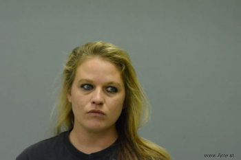 Ashley Dawn Wilson Mugshot