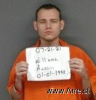 Austin Lee Williams Mugshot