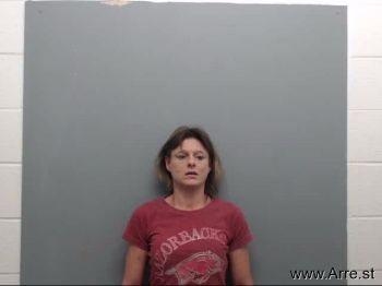 Barbara Ann Lewis Mugshot