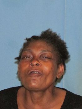 Bobbie Ann Williams Mugshot