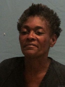 Bobbie Ann Williams Mugshot