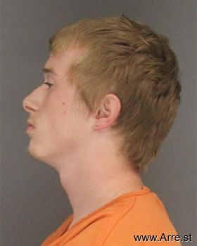 Bradley Lane Horn Mugshot