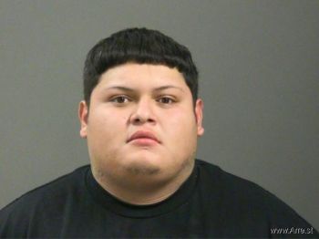 Brandon  Raya-araujo Mugshot