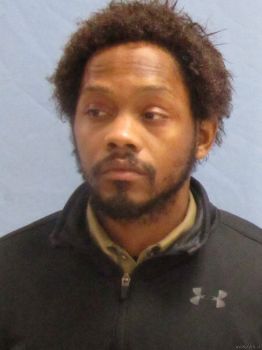 Brandon Nelson Sparks Mugshot