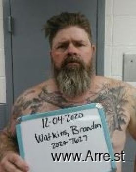 Brandon Lee Watkins Mugshot