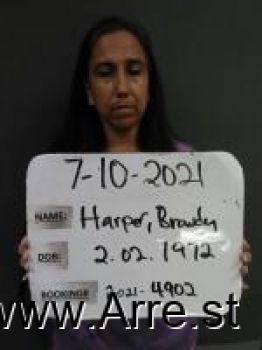 Brandy Skye Harper Mugshot