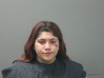 Breanna  Lehr Mugshot