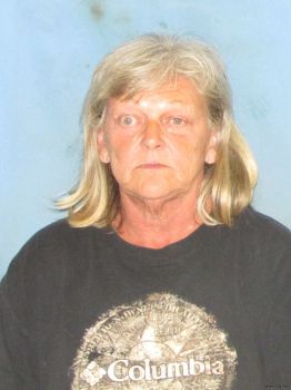 Brenda  Carr Mugshot